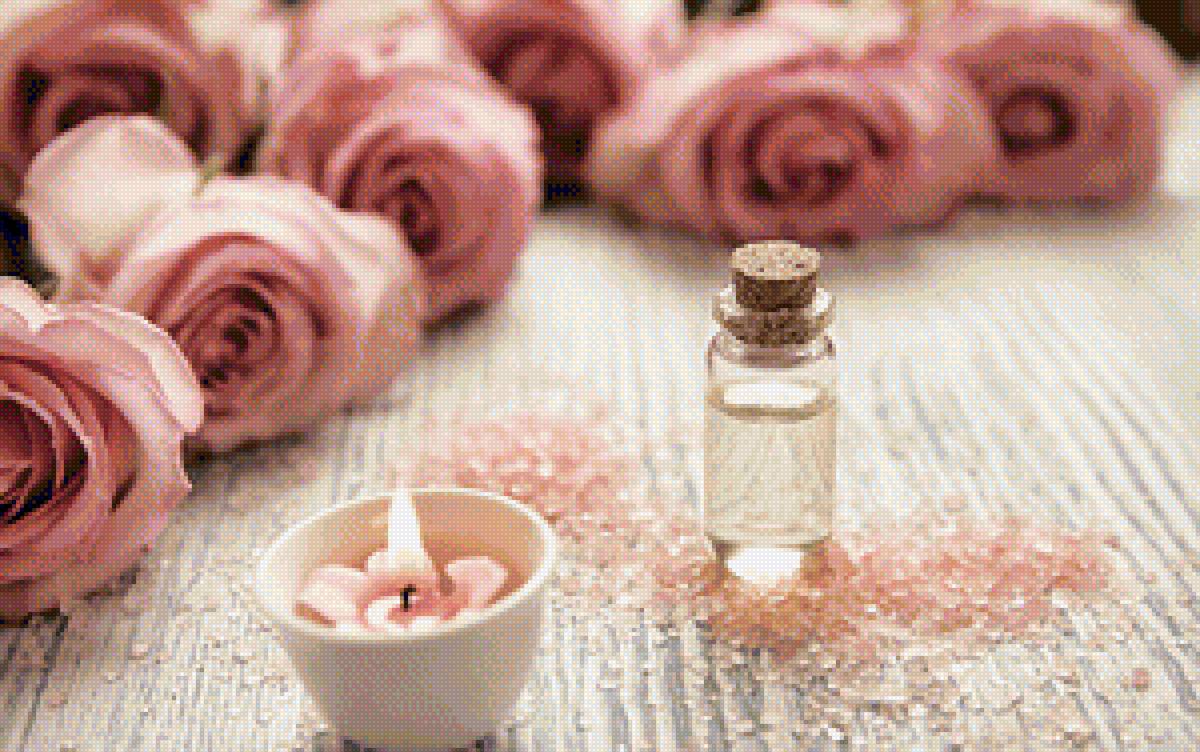 розы - розы - предпросмотр