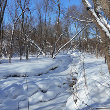 Схема вышивки «Мороз и солнце; день чудесный! Река Ива зимой»