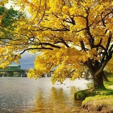 Схема вышивки «в лесу»