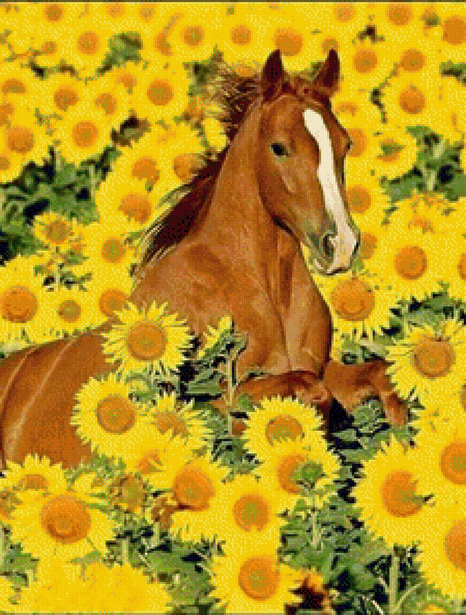 kon - fauna priroda jivotni kone - предпросмотр