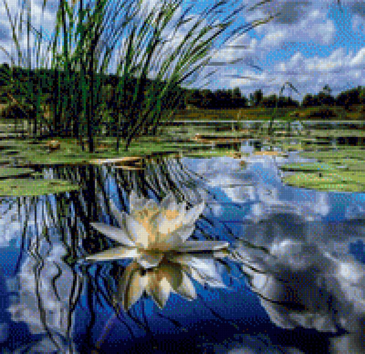 LOTOS - cvetq - предпросмотр