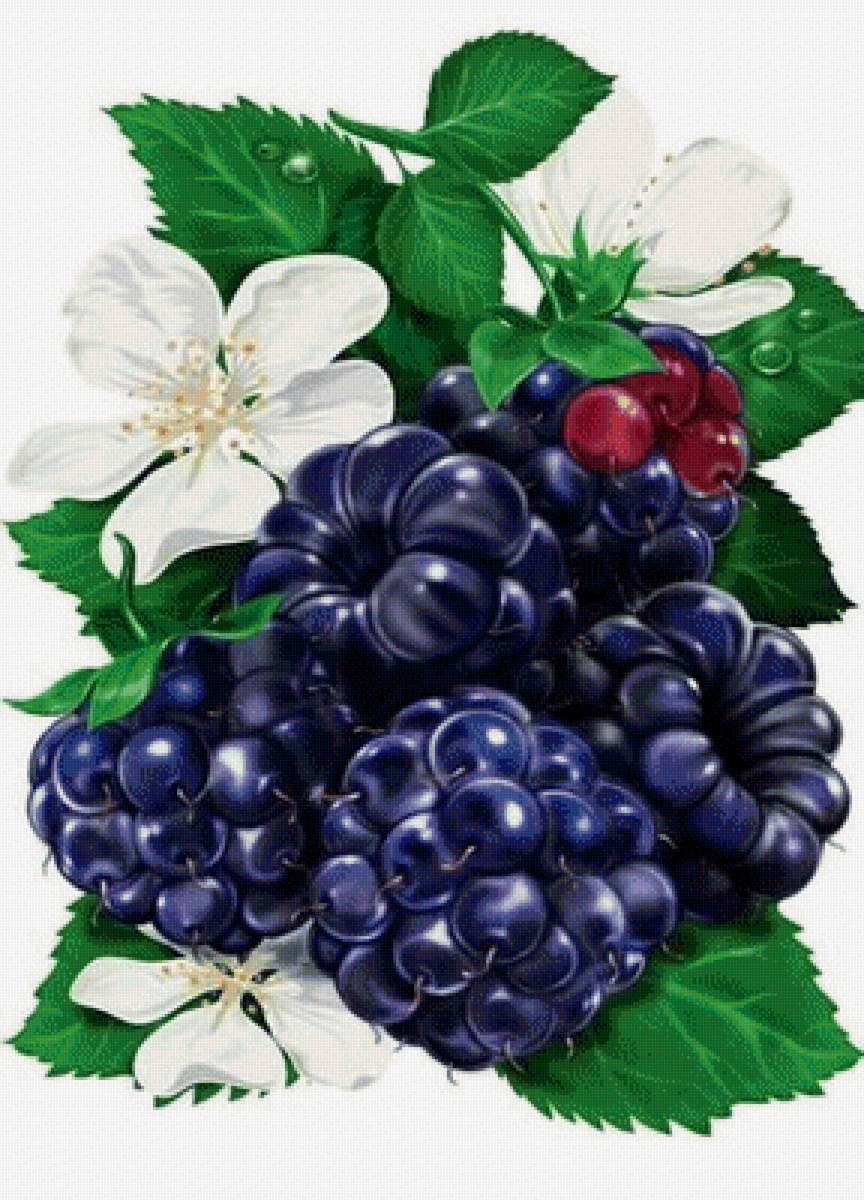 Лето - урожай, кухня, ежевика, лето, арт - предпросмотр