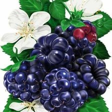 Схема вышивки «Лето»