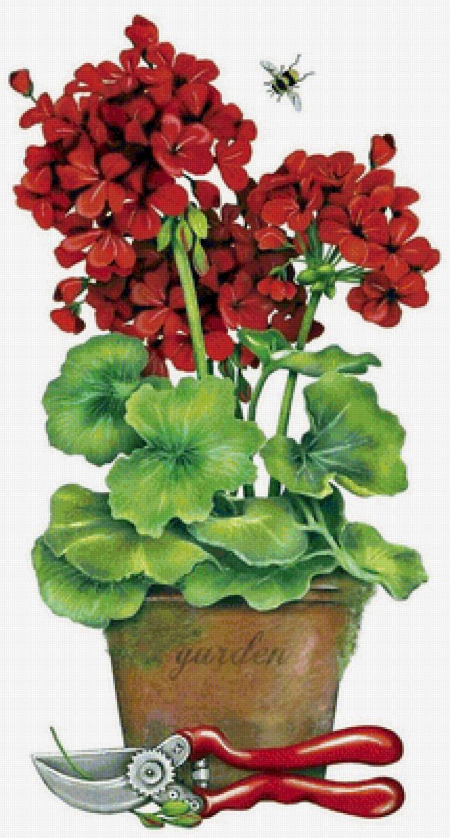 Лето - сад, арт, гортензия, лето - предпросмотр