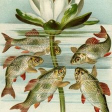 Схема вышивки «Рыбки»