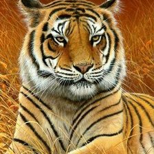 Схема вышивки «№1676977»