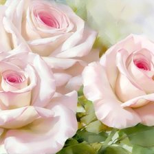 Схема вышивки «№1677016»