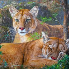 Схема вышивки «№1677942»