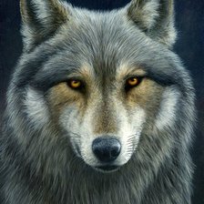 Схема вышивки «волк»