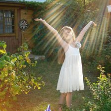 Схема вышивки «226»