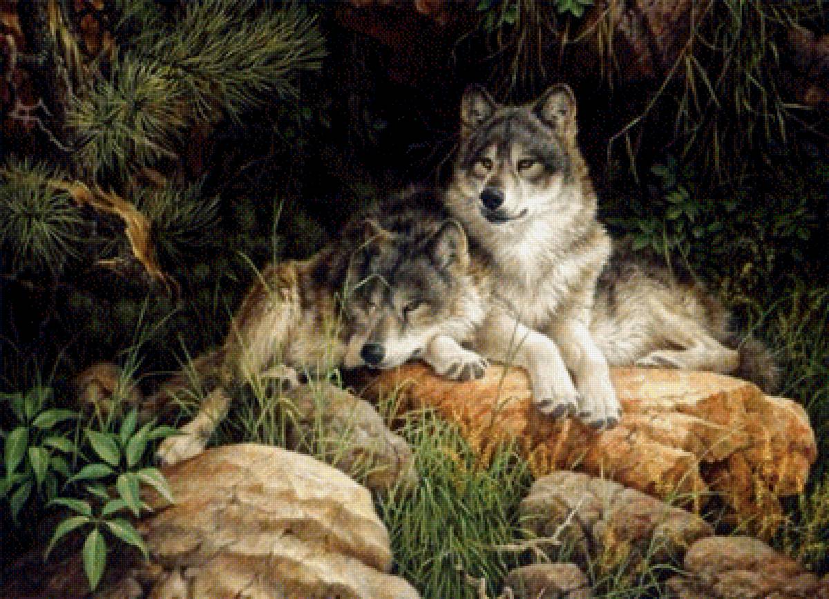 Волк - большойволк - предпросмотр