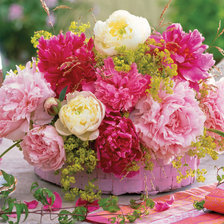 Схема вышивки «нежные пионы»