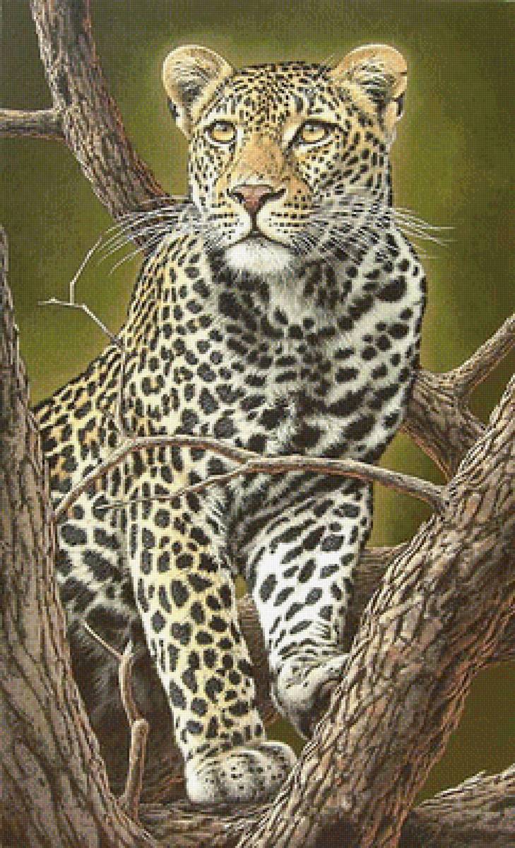 №1679117 - дикие животные - предпросмотр