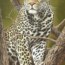 Схема вышивки «№1679117»