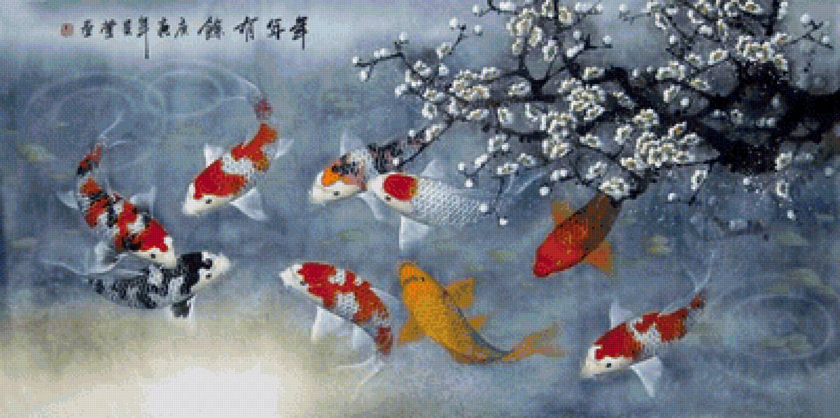 карпы кои - карпы - предпросмотр