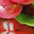 Предпросмотр схемы вышивки «пионы» (№1679792)