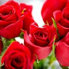 Схема вышивки «Розы»