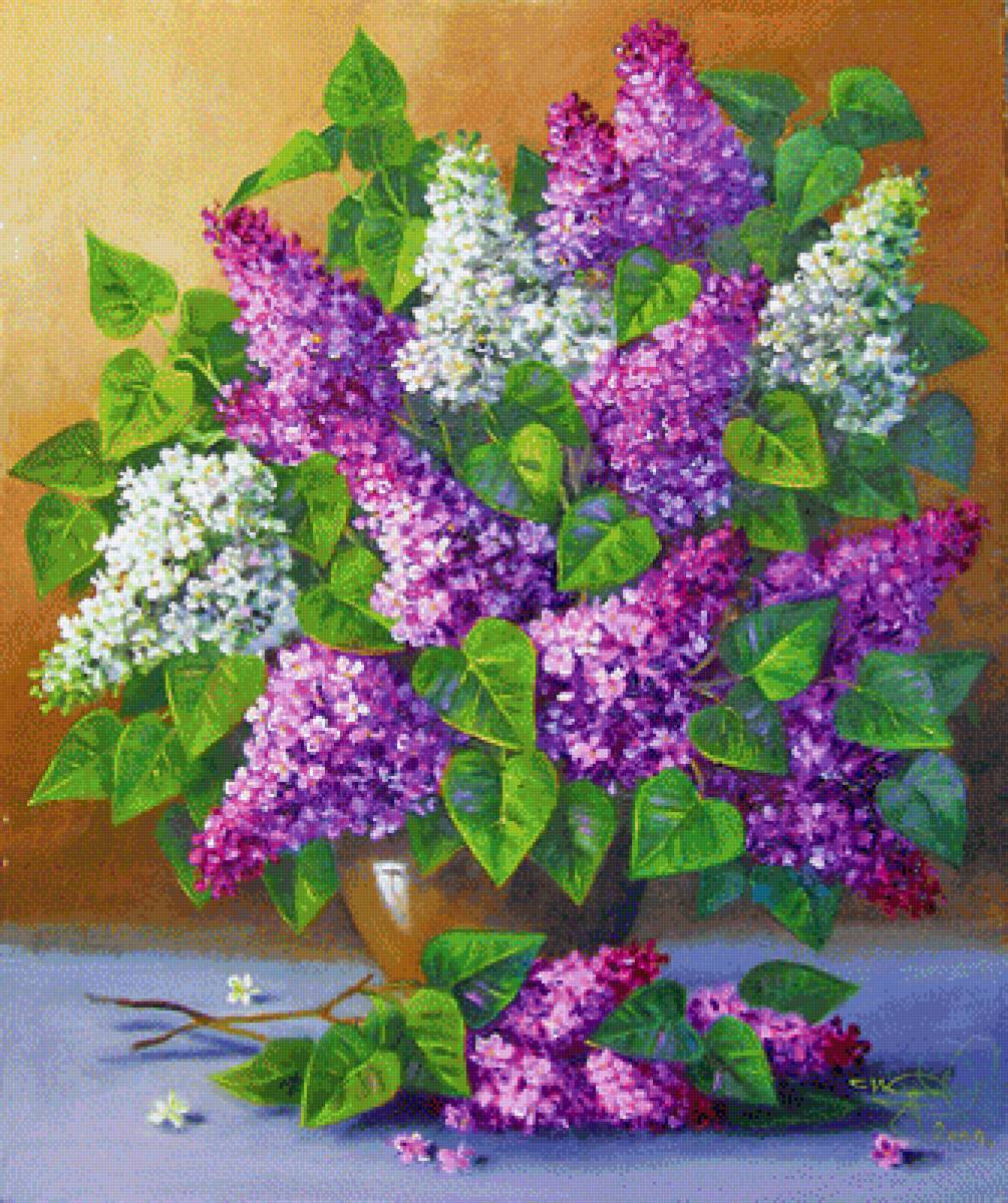 сирень - предпросмотр