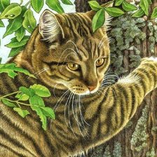 Схема вышивки «№1679859»