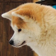 Схема вышивки «Megapolis Style Eikoume»