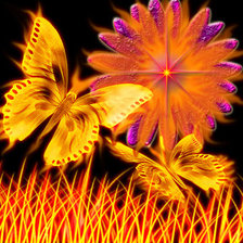 Схема вышивки «бабочки 7»