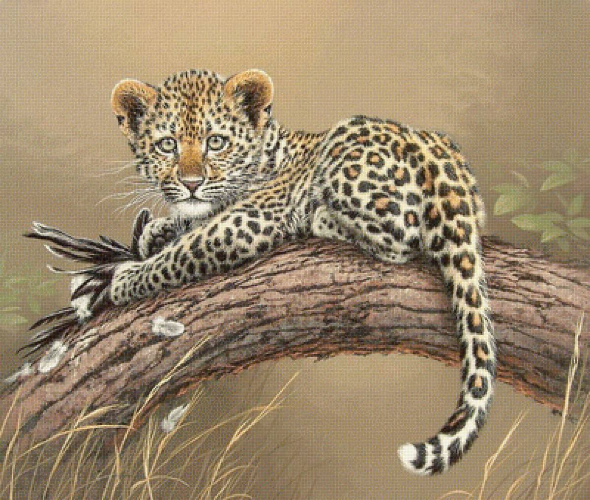 №1679948 - дикие животные - предпросмотр