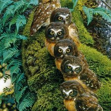 Схема вышивки «233»