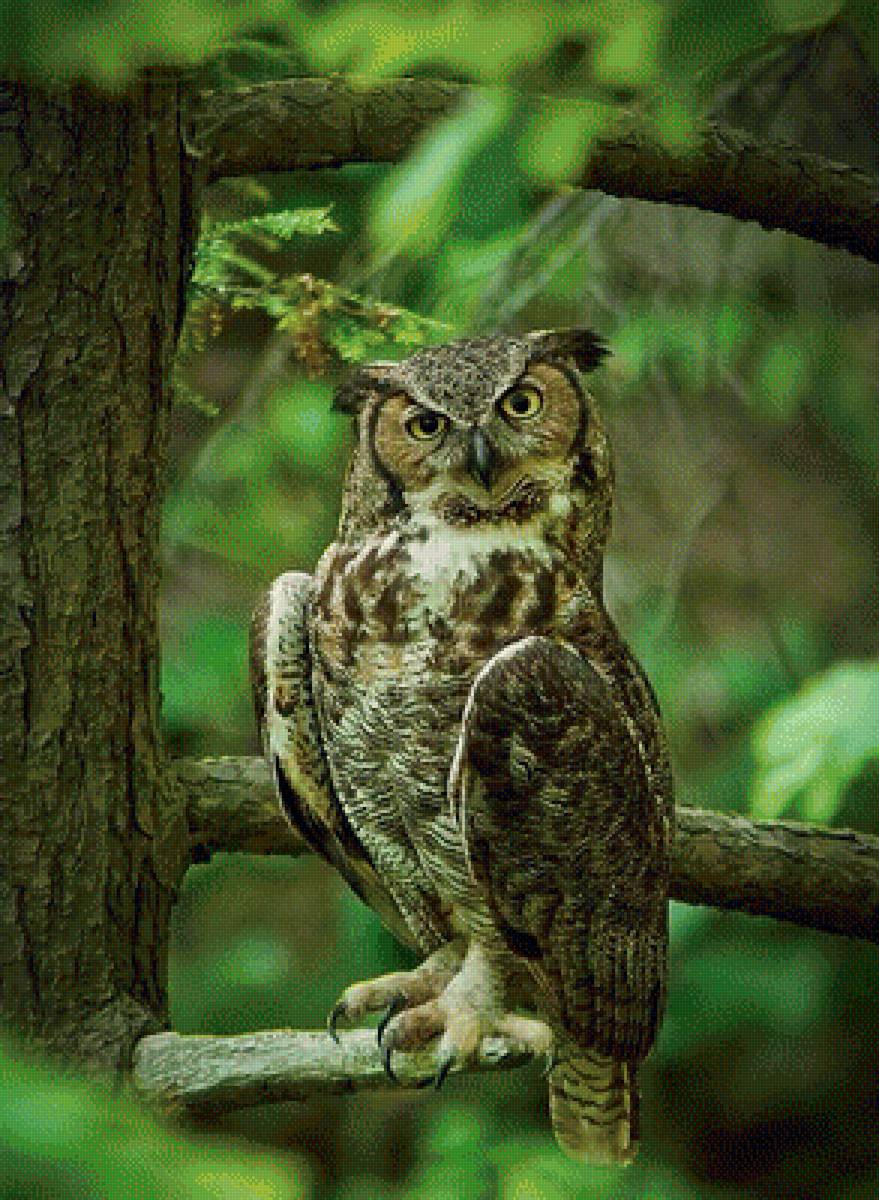 234 - предпросмотр