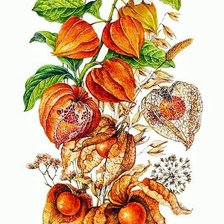 Схема вышивки «№1680449»