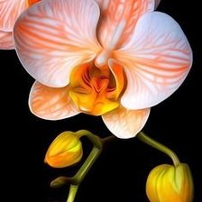 Схема вышивки «№1680996»