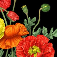 Схема вышивки «№1681298»