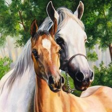 Схема вышивки «Лошади»