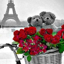 мишки и розы