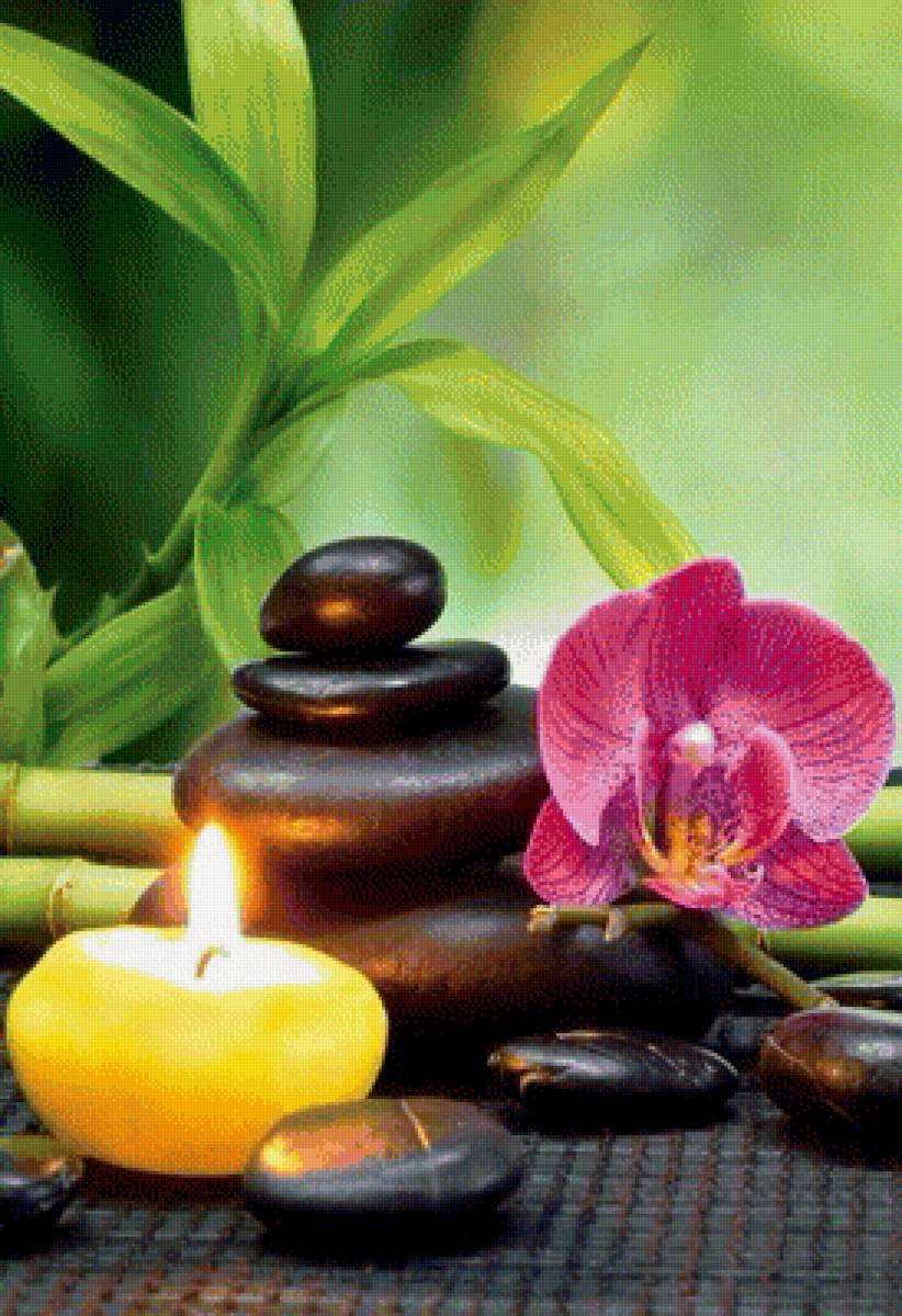 орхидея - цветы. свеча. камни - предпросмотр