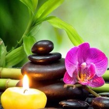 Схема вышивки «орхидея»