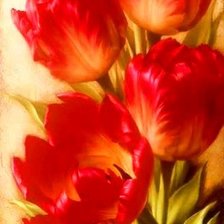 Схема вышивки «тюльпаны»