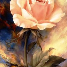 розовая роза