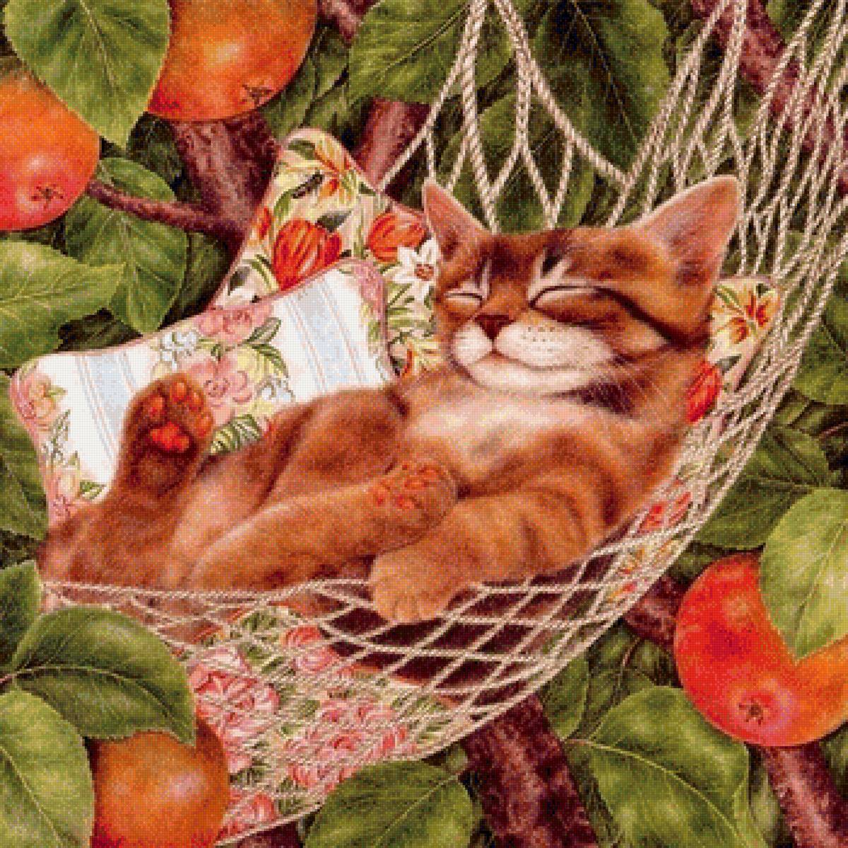 Кот в гамаке - предпросмотр