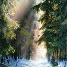 Схема вышивки «252»