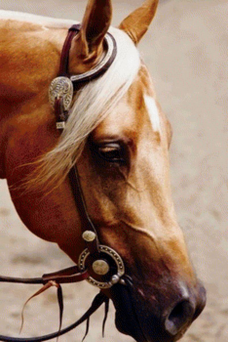 257 - предпросмотр