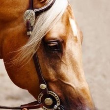 Схема вышивки «257»