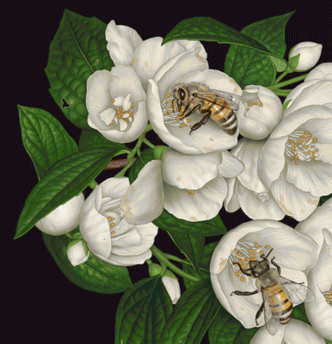 №1682689 - предпросмотр