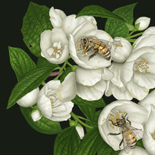 Схема вышивки «№1682689»