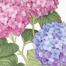 Схема вышивки «№1682690»