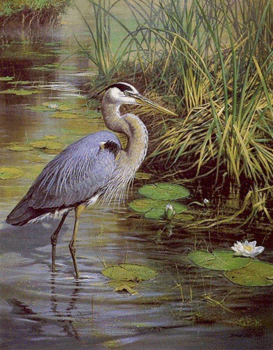 №1682728 - птицы - предпросмотр