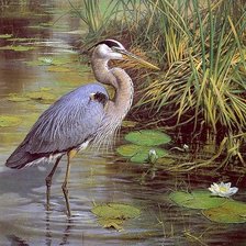 Схема вышивки «№1682728»