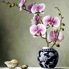 Схема вышивки «розовая орхидея»