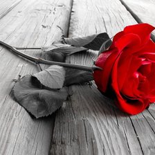 Схема вышивки «красная роза»