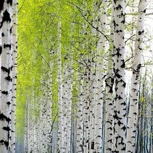 Схема вышивки «№1683335»