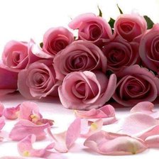 Схема вышивки «розы»